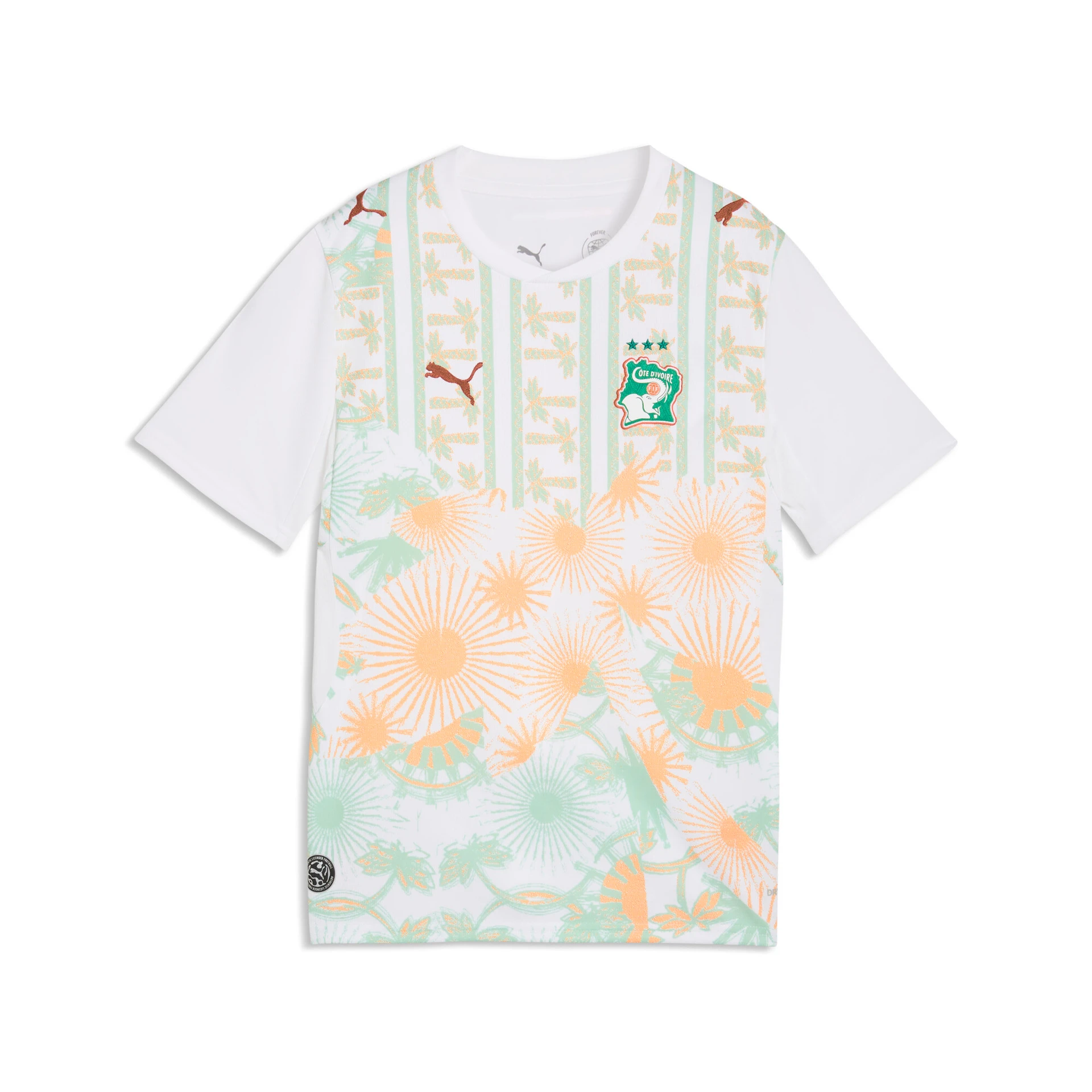 Extérieur Côte d'Ivoire Maillot Côte d'Ivoire Extérieur 2026 - Enfant 2026/2027
